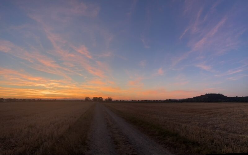 Felder_Fußläufig