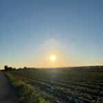 Spazierwege